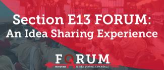 Section E13 Forum: An Idea Sharing Experience